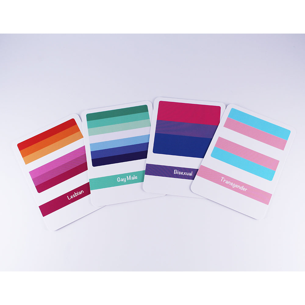 Sounds Gay I'm In - LGBTQ+ Educational Flashcards